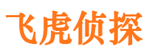 凌源私家调查公司